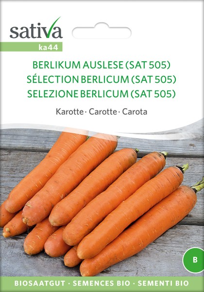 Karotte Berlikum Auslese (SAT505)
