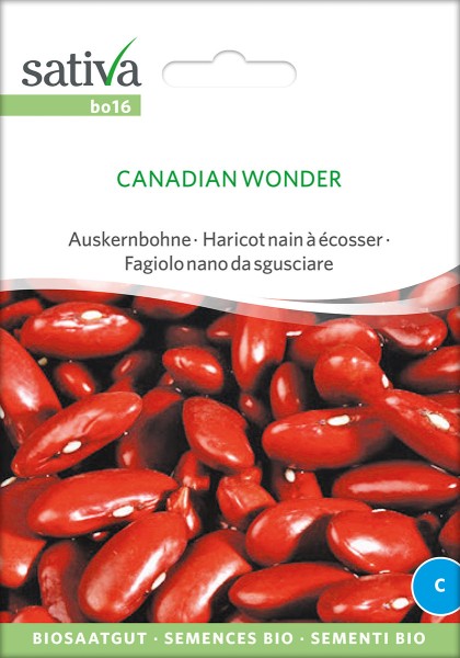 Auskernbohne / Kidneybohnen Canadian Wonder