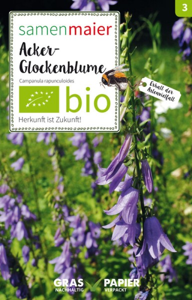 Wildblume Acker-Glockenblume (MHD 12/2023)