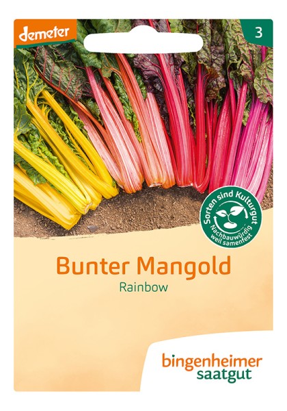 Mangold Rainbow Mischung