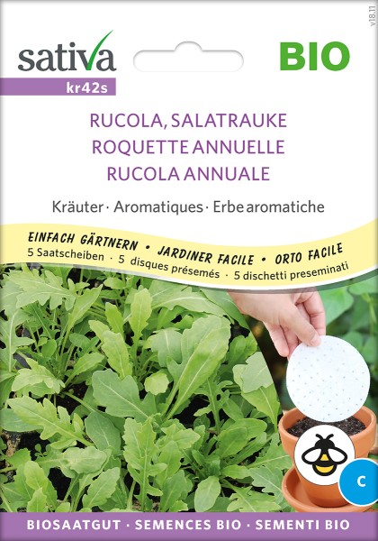 Rucola, Salatrauke - Saatscheiben