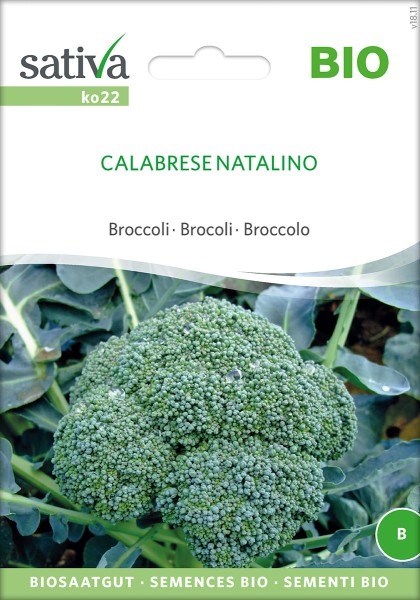 Broccoli Calabrese Natalino