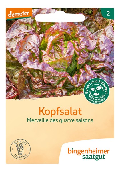 Kopfsalat Merveille des quatre saisons