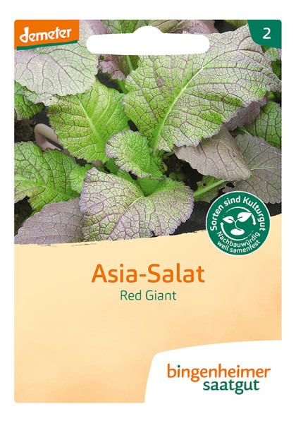 Asia - Salat Red Giant