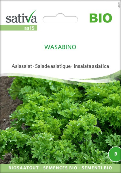 Asiasalat Wasabino
