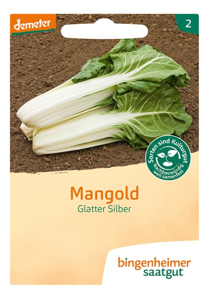 Mangold Glatter Silber