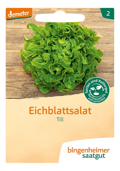 Eichblattsalat Till