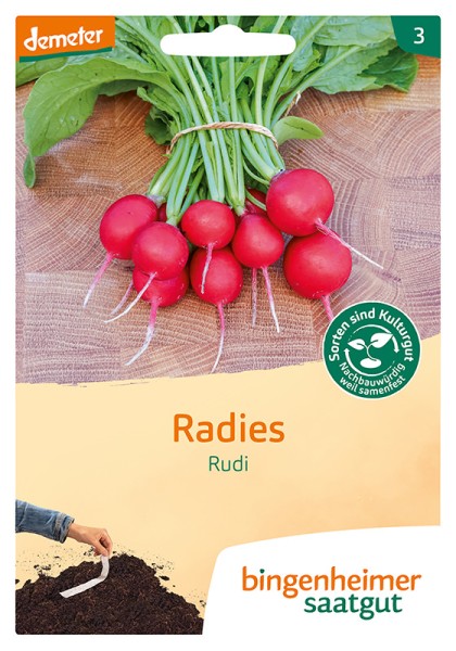 Radies Rudi GS (5 m Saatband)