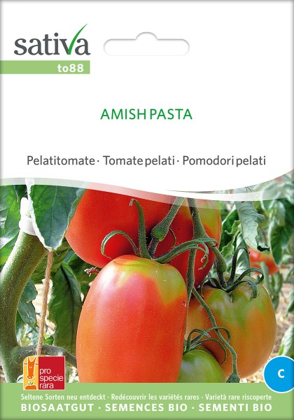 Tomate Amish Pasta