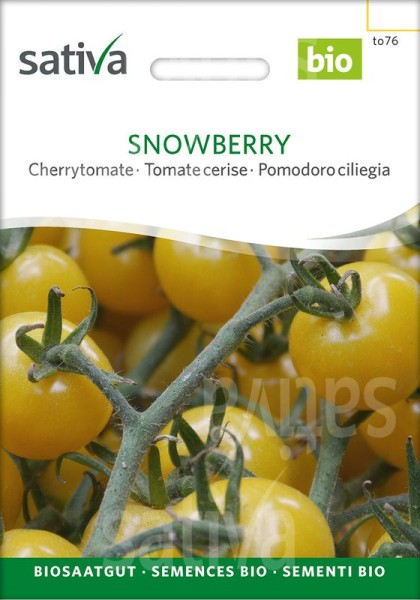Cherrytomate "Snowberry"