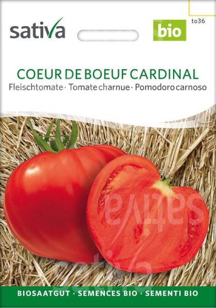 Fleischtomate "Coeur de boeuf Cardinal"