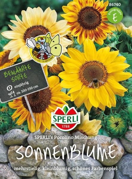Sonnenblume SPERLI's Pocolino Mischung