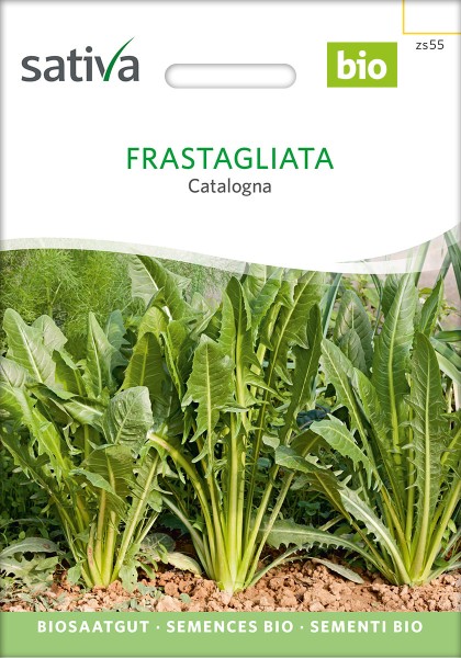 Catalogna Blattzichorie Frastagliata