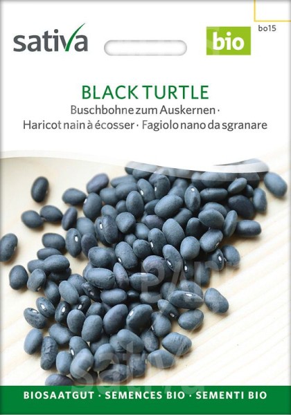 Auskernbohne "Black Turtle"