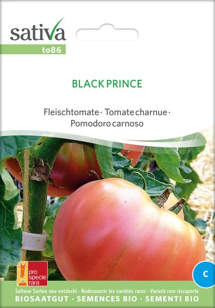 Tomate black prince