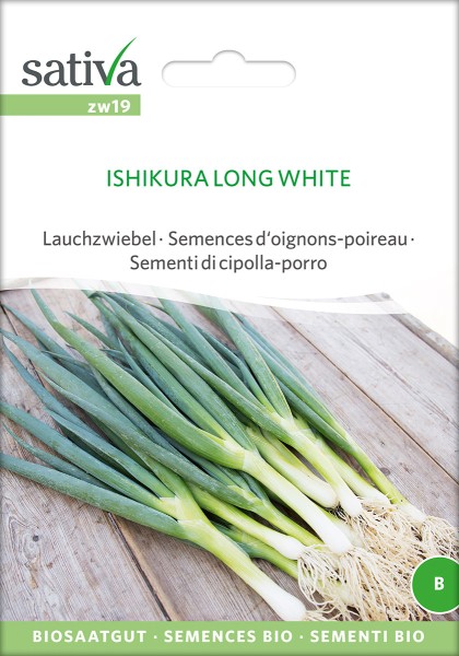 Zwiebel Long White Ishikura