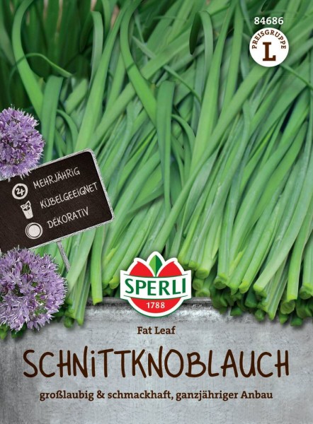 Schnitt-Knoblauch Fat Leaf