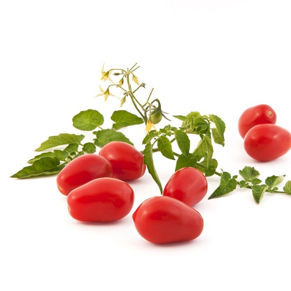 Salatparadeiser / Salattomate ‘Naama’