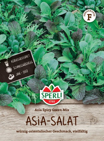 Asia-Salatmischung Asia Spicy Green Mix