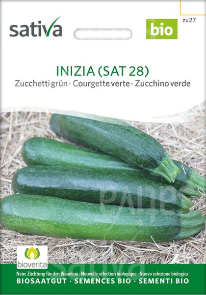 Zucchini "Inizia (SAT 28)"