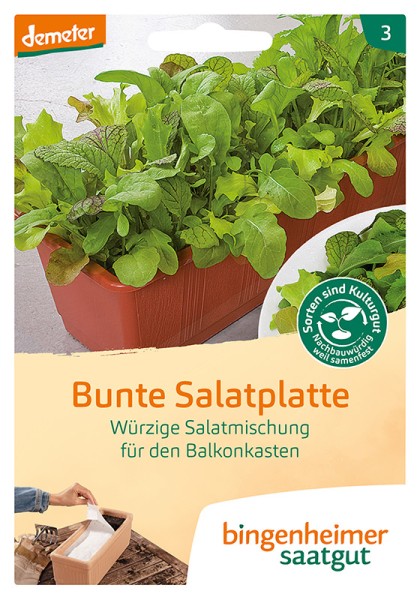 Würzige Salatmischung für den Balkonkasten Bunte Salatplatte
